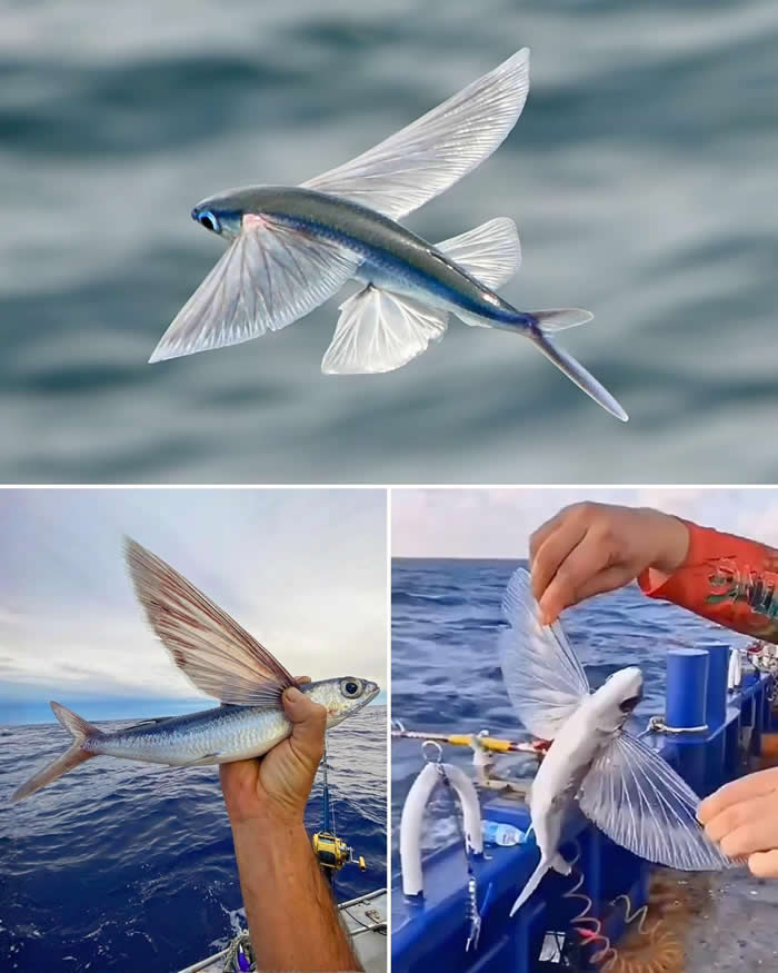 Pure Beauty of Nature