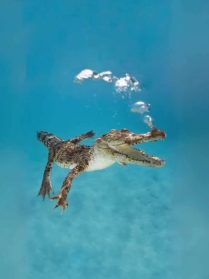 Pure Beauty of Nature