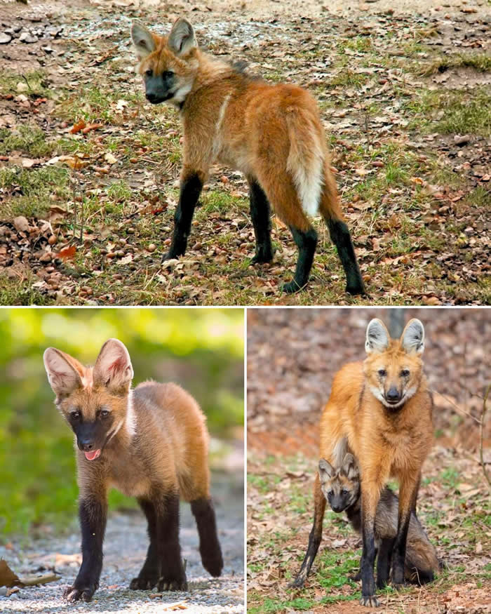 Pure Beauty of Nature