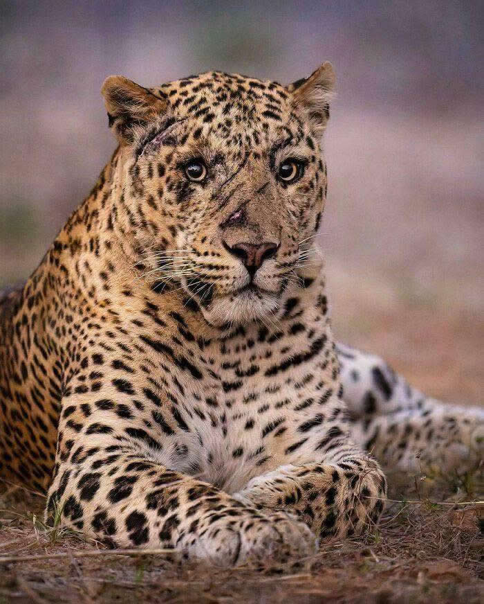 Pure Beauty of Nature