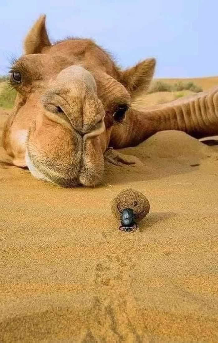 Pure Beauty of Nature