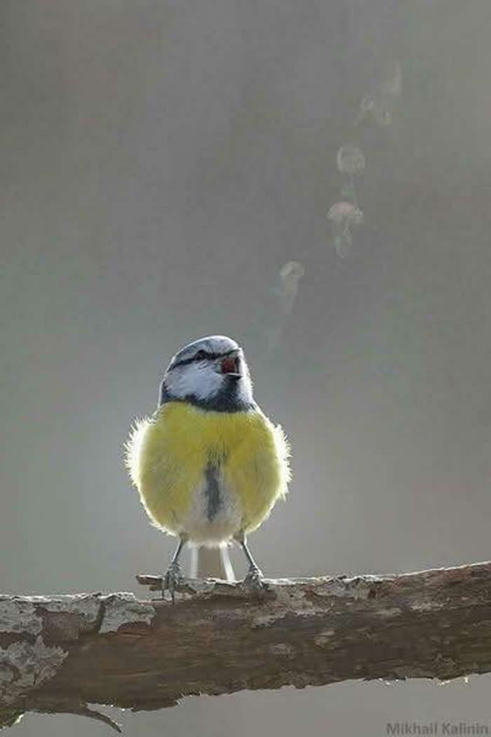 Pure Beauty of Nature