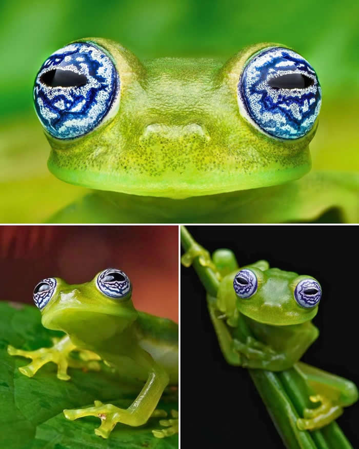 Pure Beauty of Nature