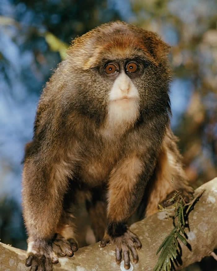 Pure Beauty of Nature