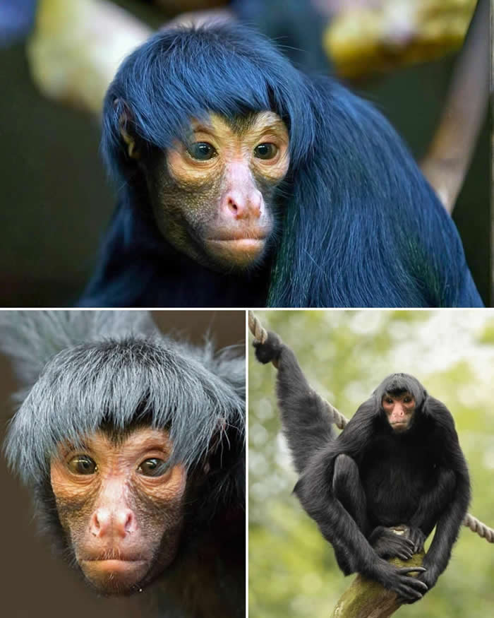 Pure Beauty of Nature