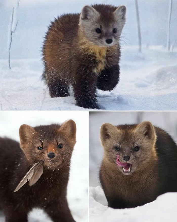 Pure Beauty of Nature