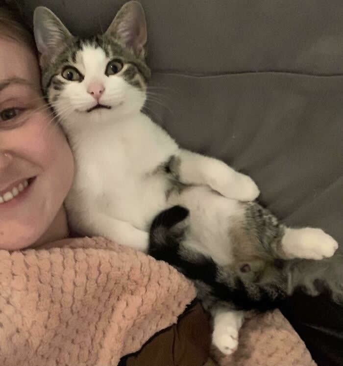 My Cat Did A Smile For A Selfie - Adorable Animal Selfies