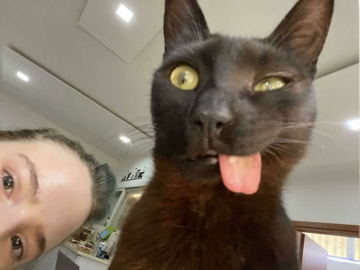 I Photobombed His Selfie - Adorable Animal Selfies