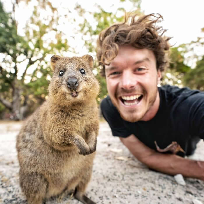 Smiling Quokka - Adorable Animal Selfies