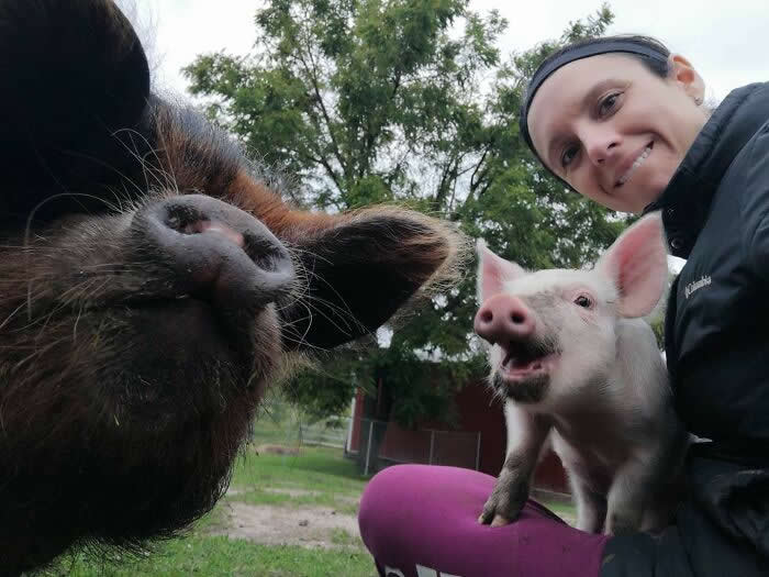 Pig Selfie - Adorable Animal Selfies