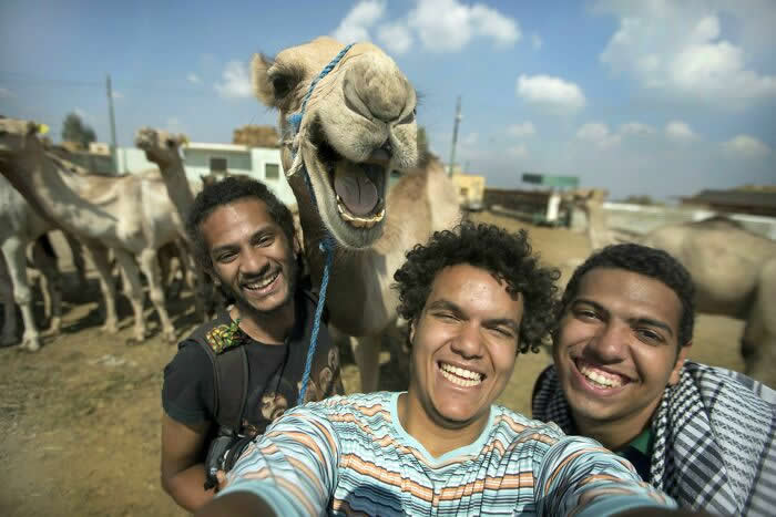 Selfie With A Laughing Camel - Adorable Animal Selfies