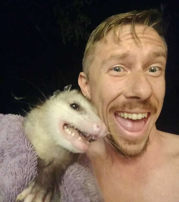 An Opossum Got Into My Buddy’s House And He Snapped A Selfie With It While He Was Carrying It Out - Adorable Animal Selfies
