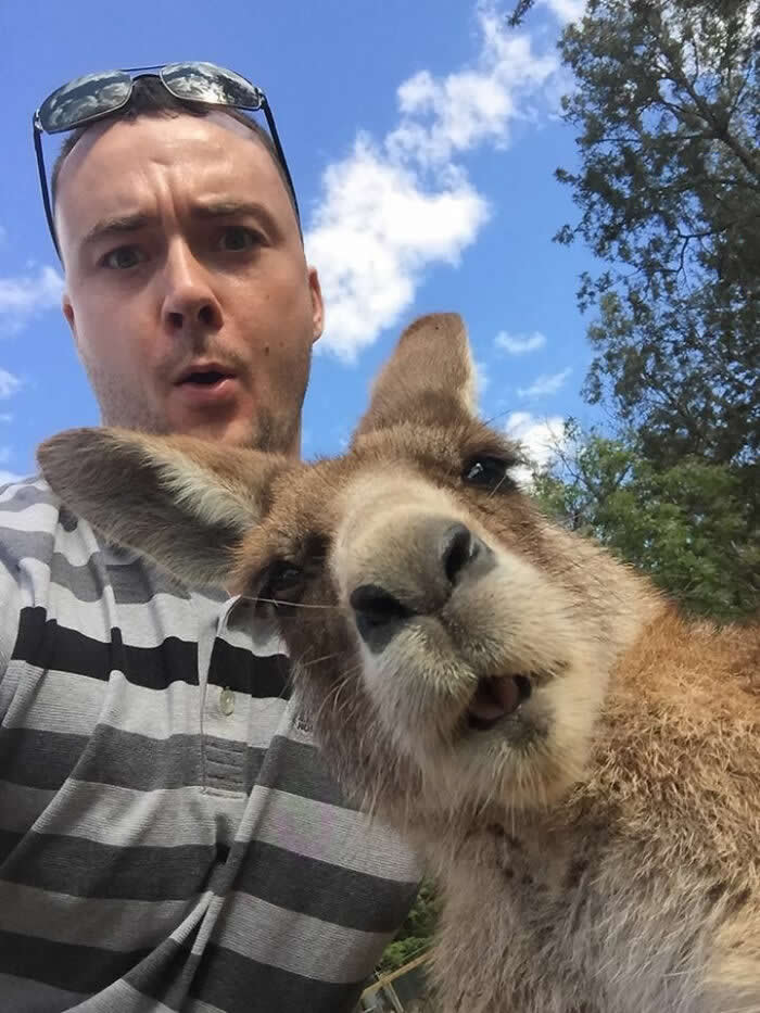 My Cousin Wanted A Selfie With A Kangaroo - Adorable Animal Selfies