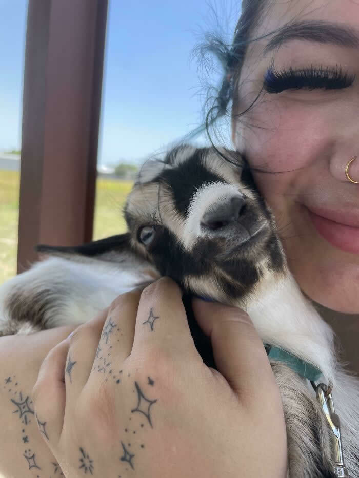 Goat Selfie - Adorable Animal Selfies