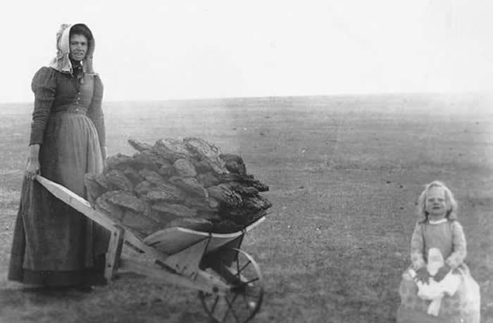 Pioneer woman collecting buffalo chips for fuel. - Rare Vintage Photos