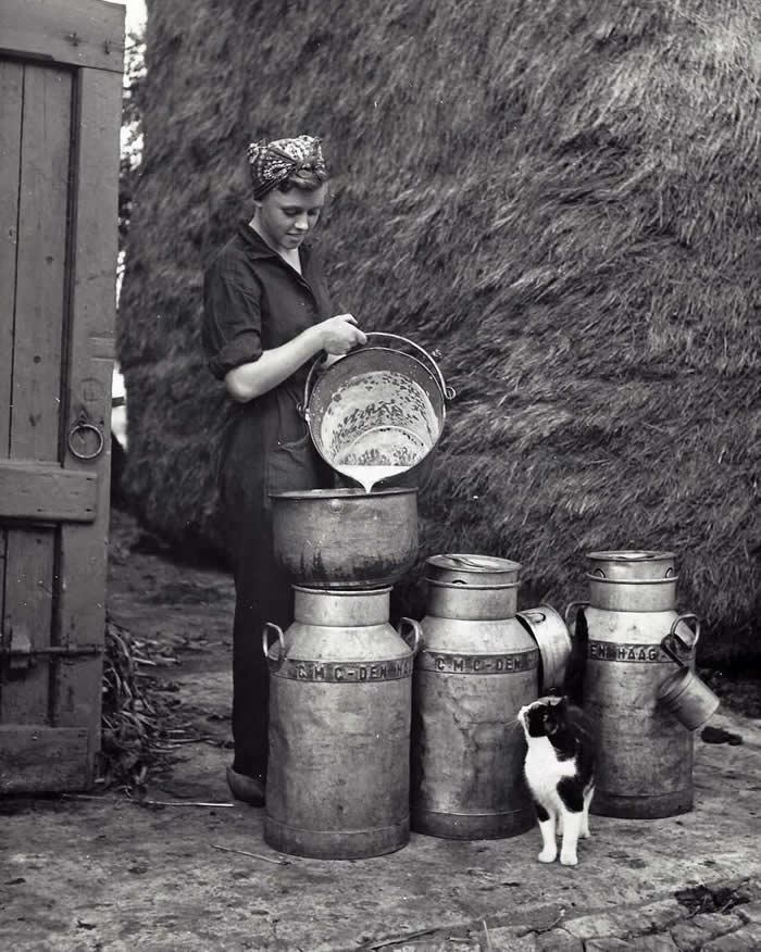 Black-and-White Everyday Moments Life Is Pure Poetry