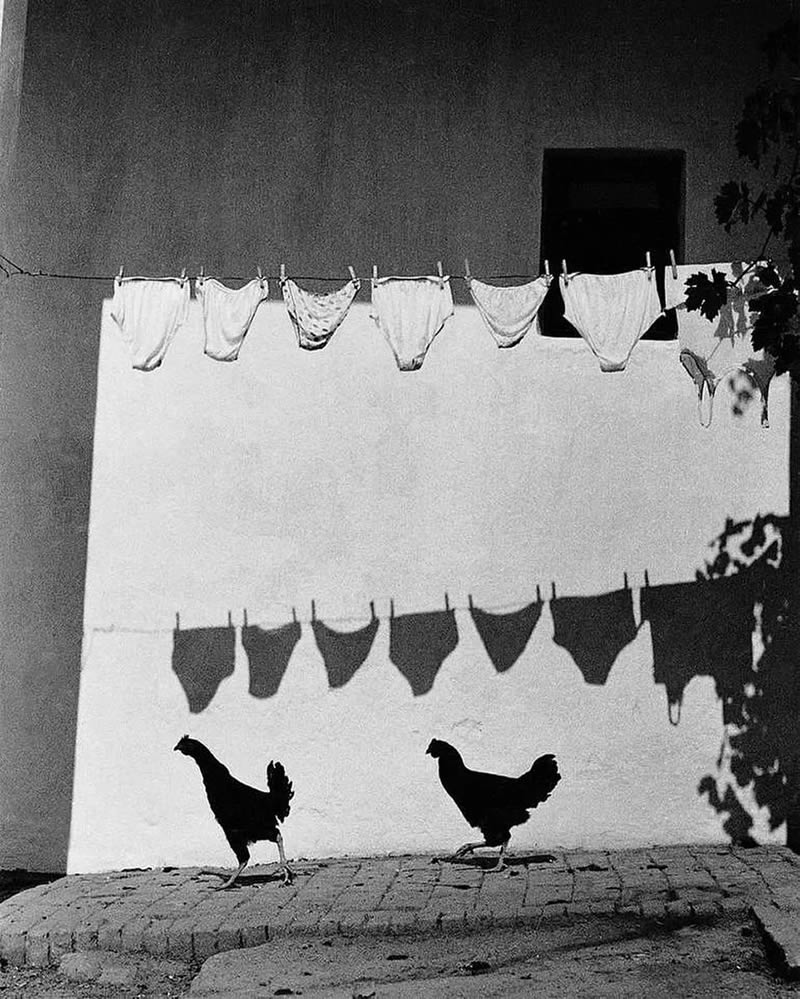 Black-and-White Everyday Moments Life Is Pure Poetry