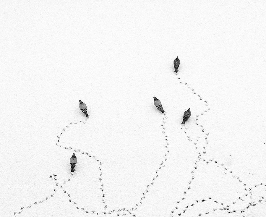 Black-and-White Everyday Moments Life Is Pure Poetry