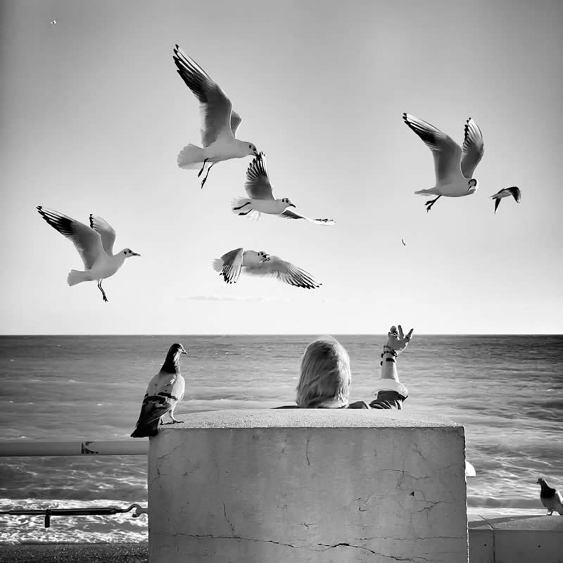 Black-and-White Everyday Moments Life Is Pure Poetry