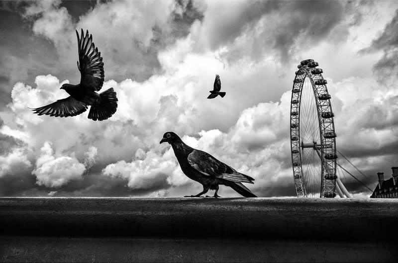 Black-and-White Everyday Moments Life Is Pure Poetry