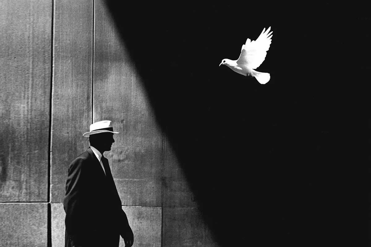 Black-and-White Everyday Moments Life Is Pure Poetry