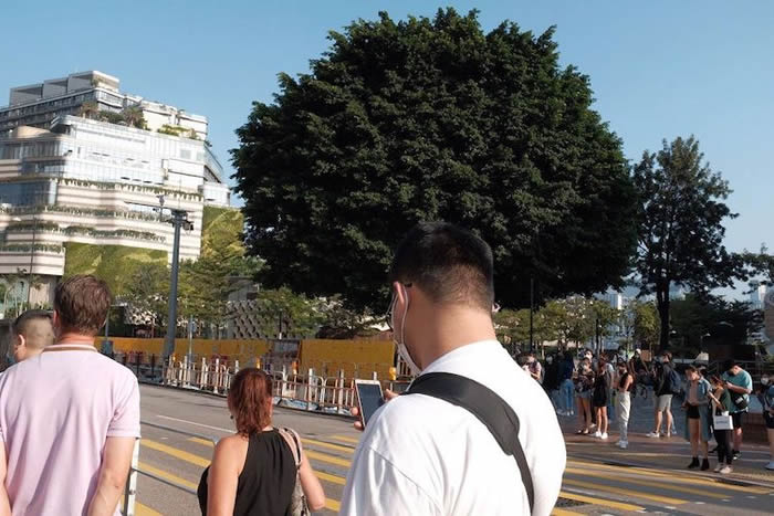Tree makes it look like the guy has an afro - Confusing Perspective Photos