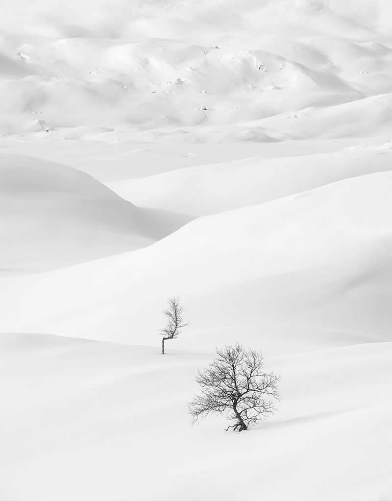 Winter Silence – Telemark by Roger Kristiansen - Minimalist Photography Awards 2025 Landscape Winners