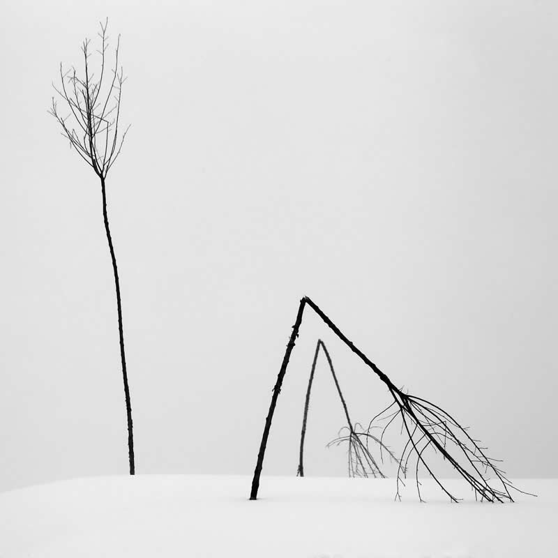 Winter graphics by Milan Markovic - Minimalist Photography Awards 2025 Landscape Winners