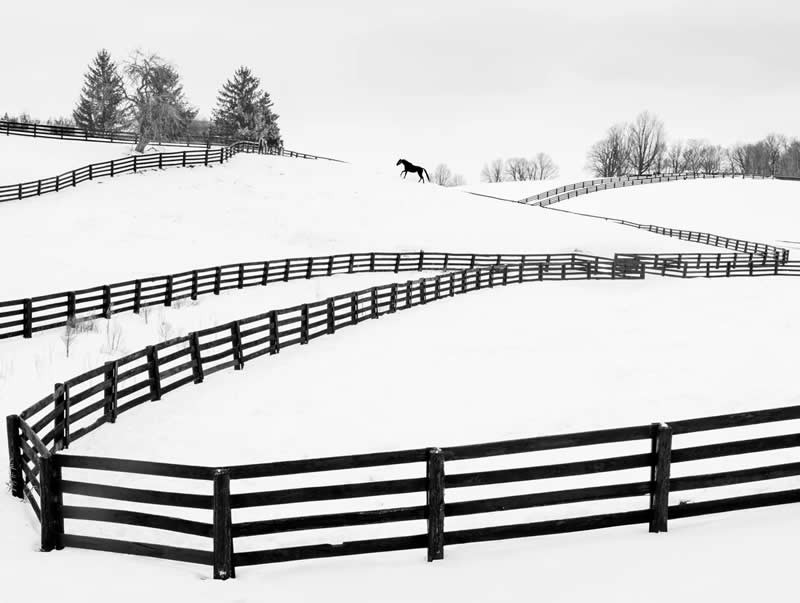 Snowstorm by Jack Pasht - Minimalist Photography Awards 2025 Landscape Winners