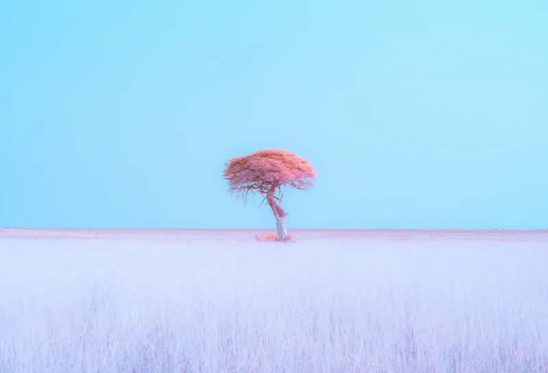 3rd Place Winner: Dreamscape of Etosha by Alexandre Brisson - Minimalist Photography Awards 2025 Landscape Winners