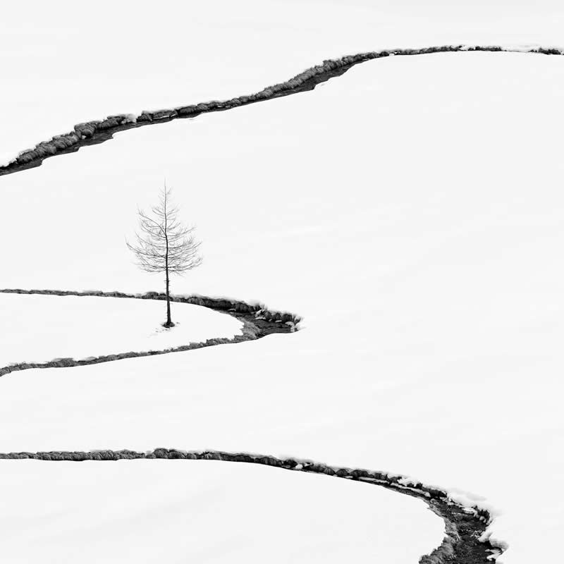 The Tree and the Stream by Rosario Civello - Minimalist Photography Awards 2025 Landscape Winners