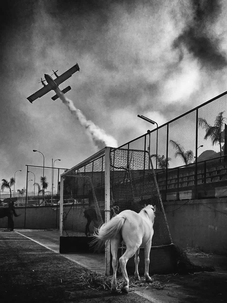 Eyeshot Photography Awards: 1st Place - Horse & Canadair by Simona Bonanno, Italy