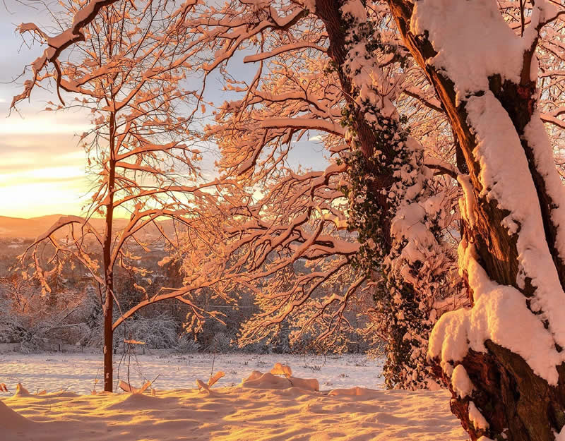 Beautiful Winter Photos in Southern Poland by Michal Skarbinski