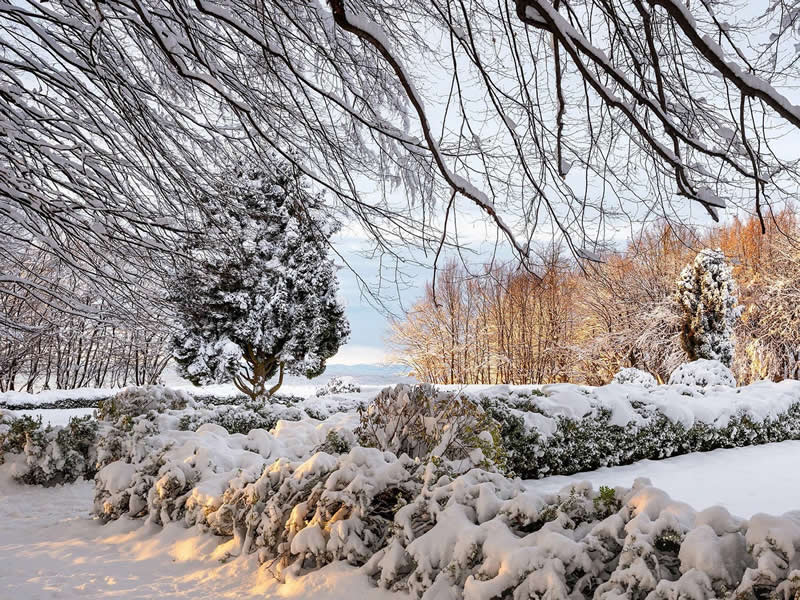 Beautiful Winter Photos in Southern Poland by Michal Skarbinski