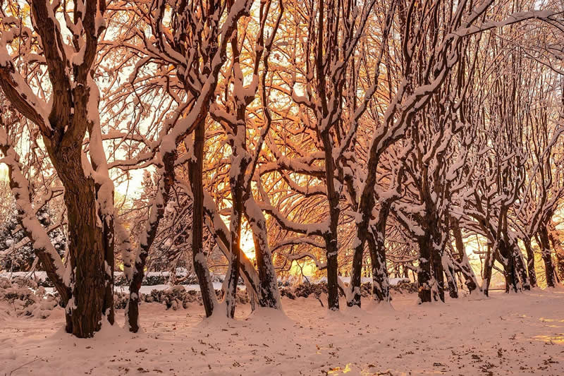 Beautiful Winter Photos in Southern Poland by Michal Skarbinski