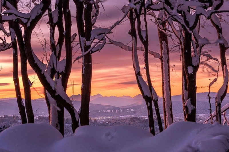 Beautiful Winter Photos in Southern Poland by Michal Skarbinski