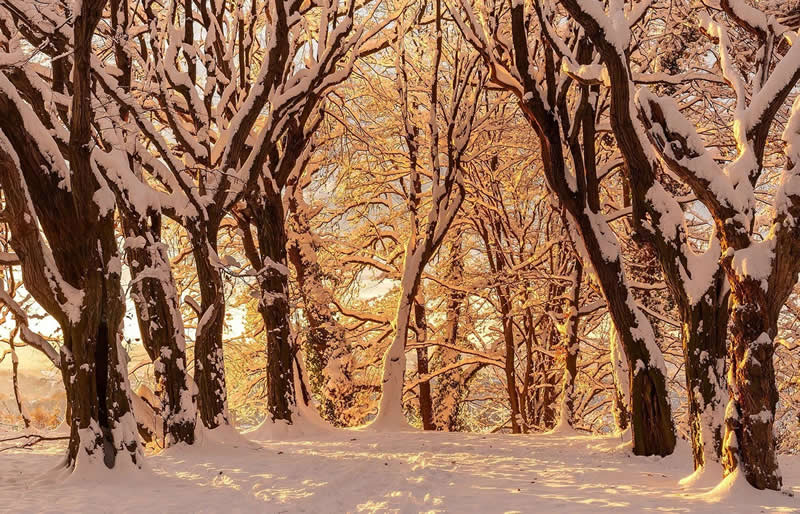 Beautiful Winter Photos in Southern Poland by Michal Skarbinski