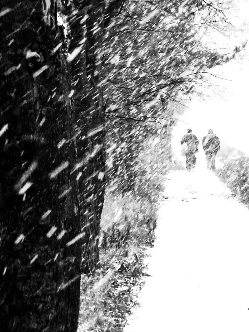 Snowstorm by Krzysztof Kupren - Mobile Photography Awards Black and White Winners