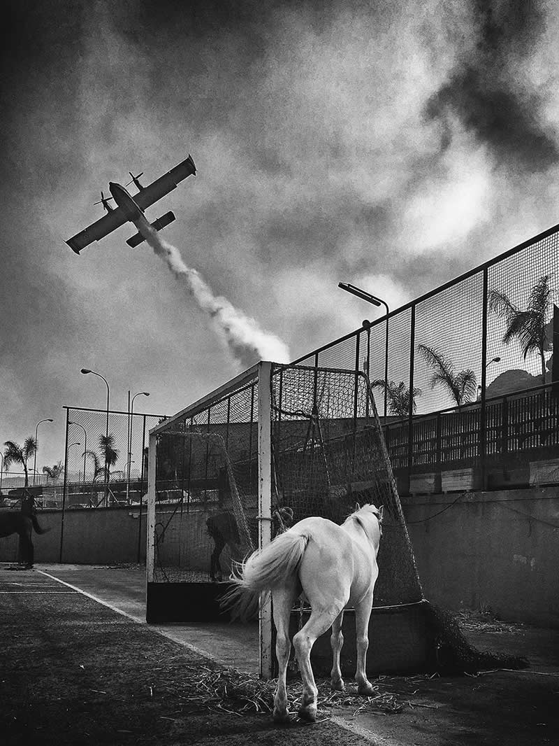 Horse & Canadair by Simona Bonanno - Mobile Photography Awards Black and White Winners