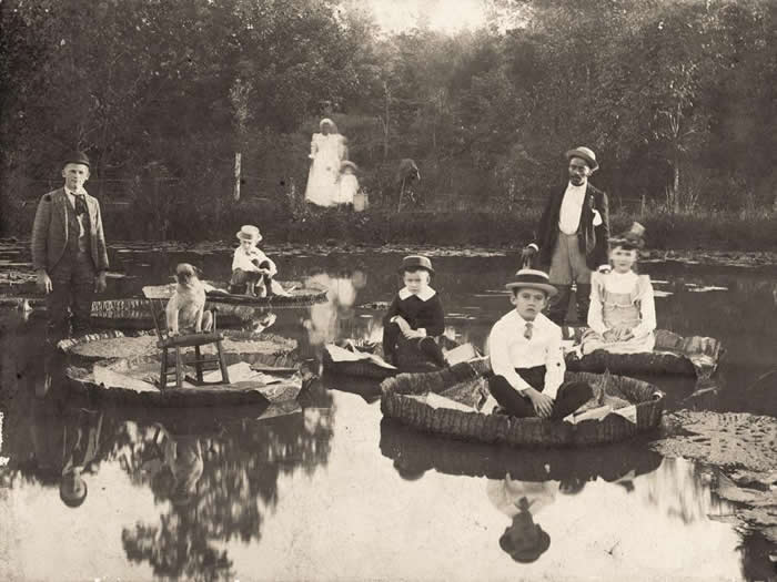 Children posing in giant Amazon Lillies, for a time they became a fad in rich gardens, Salem, North Carolina, (1898) - Vintage Rare Historical Photos 