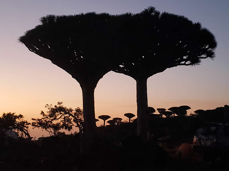 Sunrise by Dorota Yamadag - Mobile Photography Awards Silhouette Winners