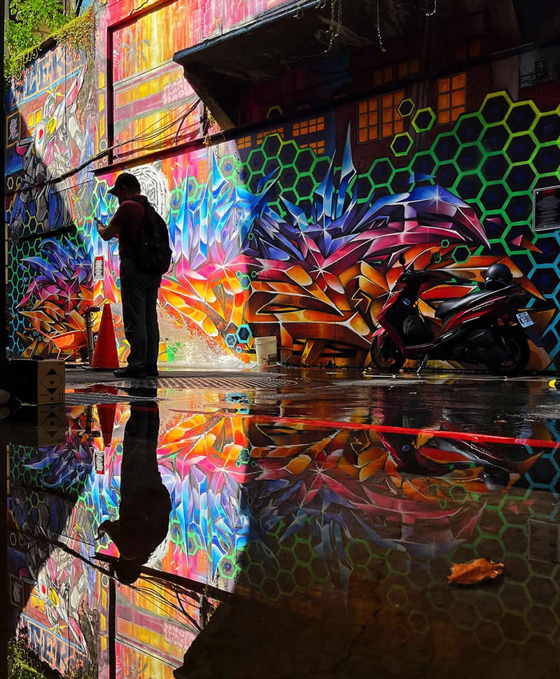 Coexist by Kuei-Chu Chen - Mobile Photography Awards Silhouette Winners