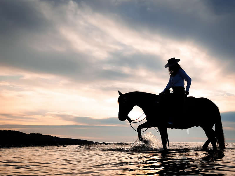 Lake Michigan by Stephanie Cope - Mobile Photography Awards Silhouette Winners