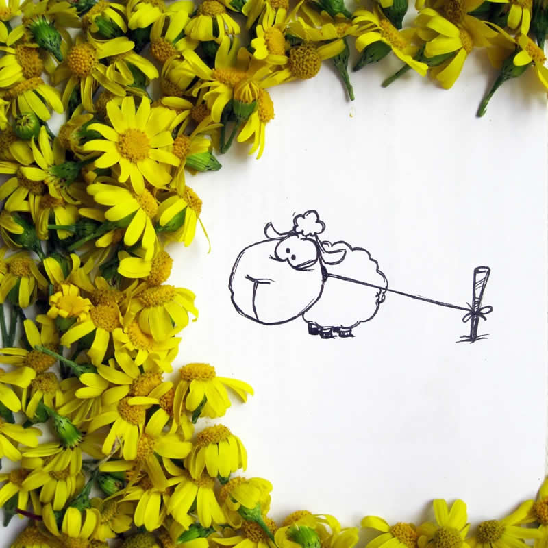 Hilarious Illustrations That Show How Majid Khosroanjom Transforms Real Objects Into Laughs