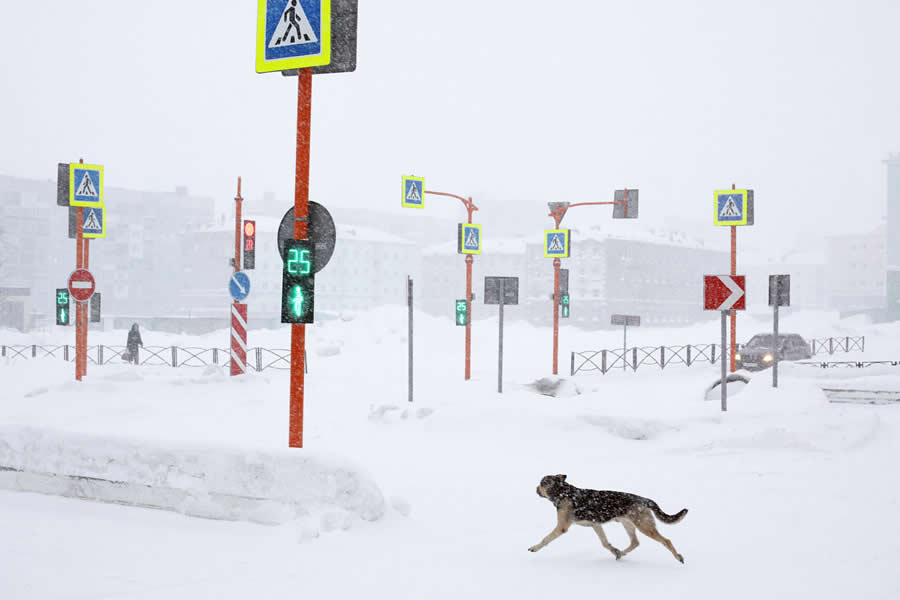 Street and Documentary Photography by Maria Plotnikova