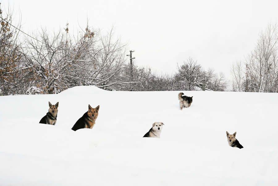 Street and Documentary Photography by Maria Plotnikova