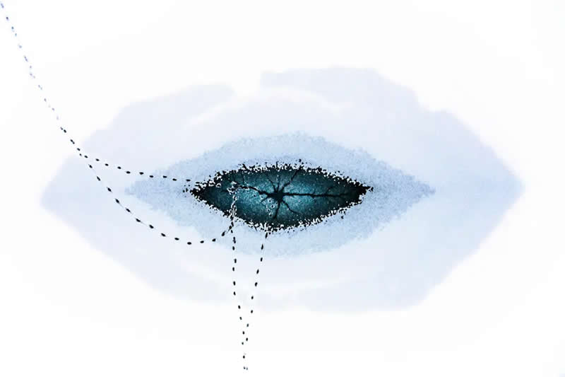 2025 Minimalist Photography Awards Winners