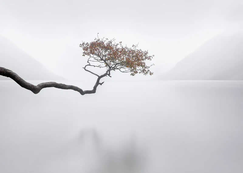2025 Minimalist Photography Awards Winners