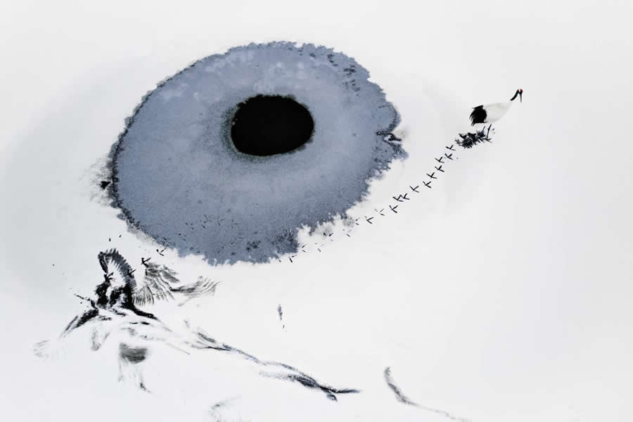 Skypixel Aerial Photography Awards Winners