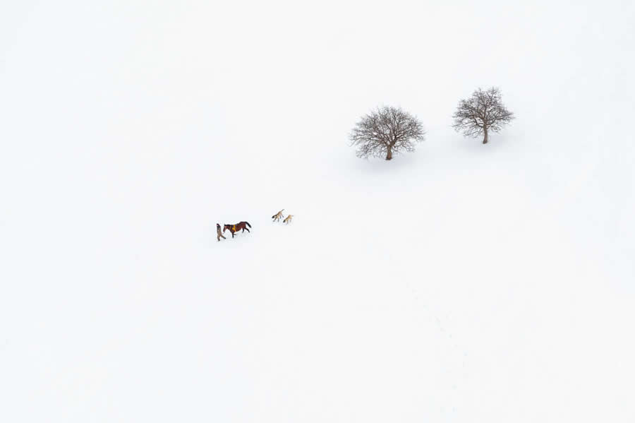 Skypixel Aerial Photography Awards Winners